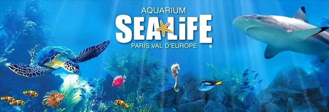 Saint-Germain-sur-Morin Appartement Spacieux Disneyland - La Vallee Village - 6 Personnes - 60M2 מראה חיצוני תמונה